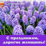 С праздником весны!